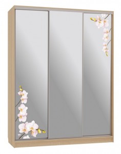 Шкаф-купе Бассо 4-600 орхидеи