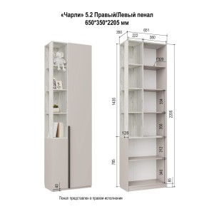 Пенал Чарли 5.2 (Кашемир/Винтерберг)