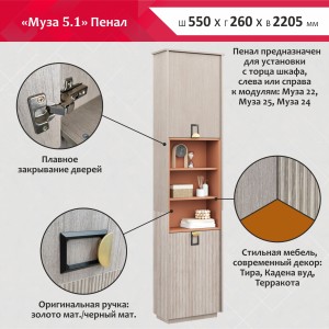 Пенал Муза 5.1