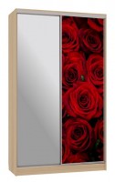 Шкаф-купе Рио 9-600 89