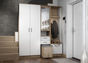 Прихожая Дуся 1.7