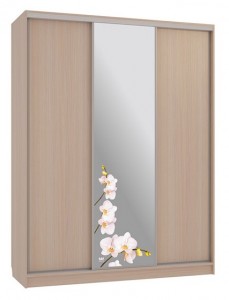 Шкаф-купе Бассо 1-600 орхидеи